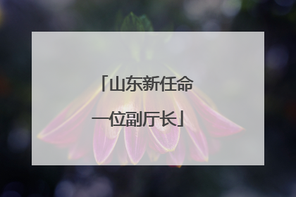 山东新任命一位副厅长